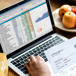 Premium Data entry - Product 3